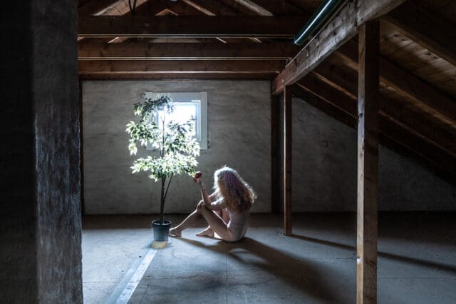 DSCF3130Eple Studerer Lavere Texture Kopi