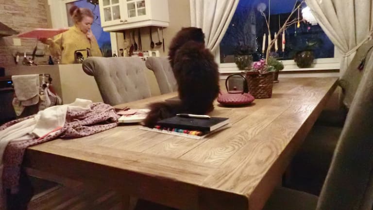 P1030085Mamma På Kjøkkenet Kopi