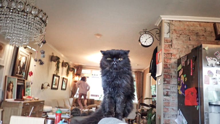 P8280482Bagera In Front Kopi