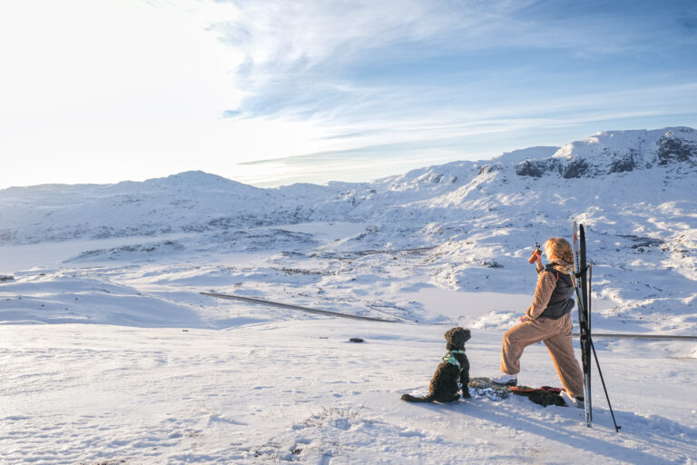 Termos, Fjell Og Hund, Edit 2 Lysere